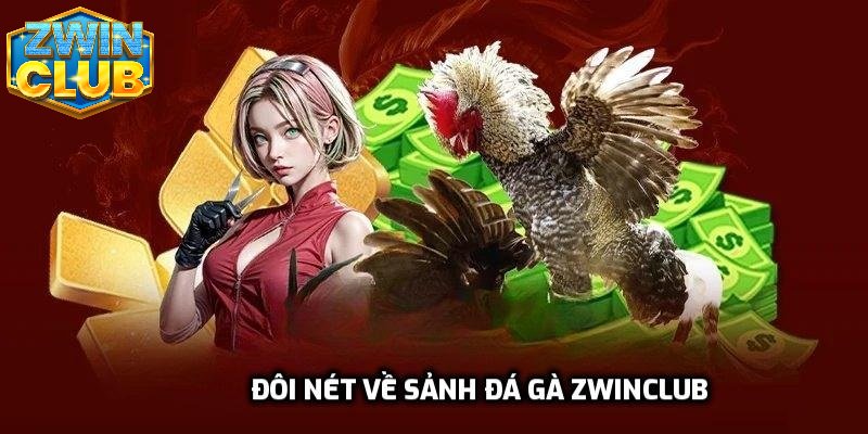 Đôi nét về sảnh đá gà zwinclub