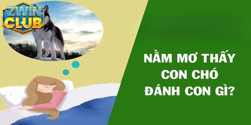 Mơ thấy chó đánh con gì