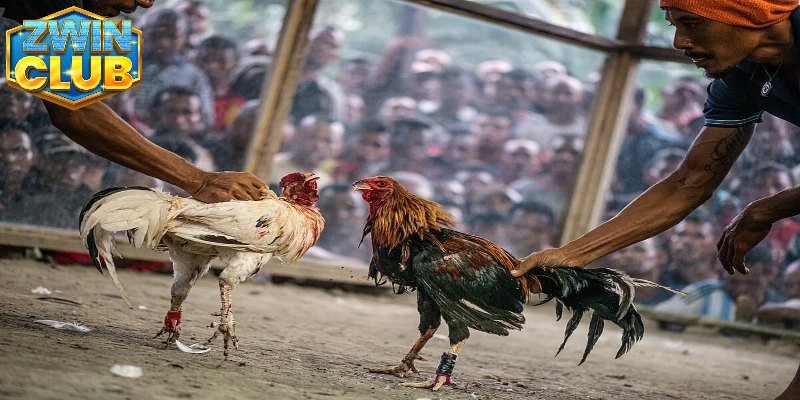 Sân chơi uy tín sở hữu cộng đồng lớn mạnh