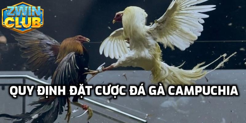 Tìm hiểu các cửa cược phổ biến